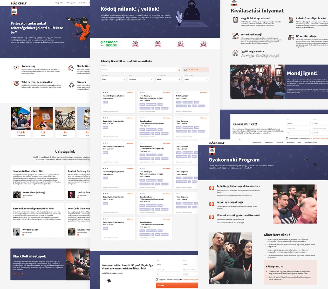 a collection of the new high fidelity UI designs
